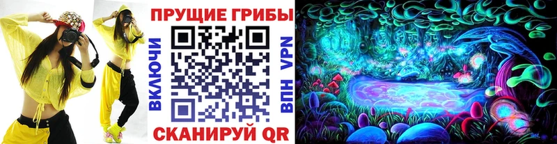 Псилоцибиновые грибы ЛСД Дальнереченск