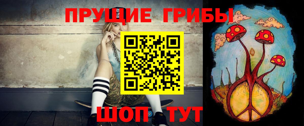 Галлюциногенные грибы GOLDEN TEACHER  Вход с VPN  Дальнереченск 