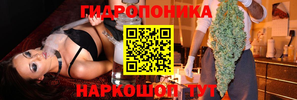 МАРИХУАНА семена Дальнереченск